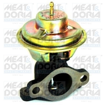 EGR Valve